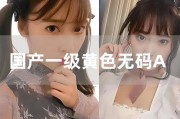 国产色情aV